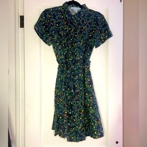 Hill House Shirt Dress